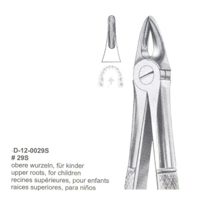 Extracting Forceps (English Pattern)