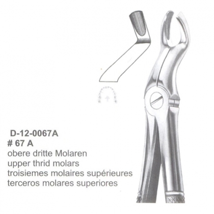 Extracting Forceps (English Pattern)