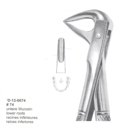 Extracting Forceps (English Pattern)
