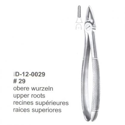 Extracting Forceps (English Pattern)